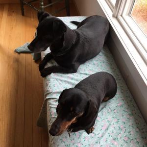 Meet your Posher, Marisa